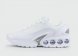 кроссовки Nike Air Max DN White Sliver