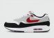 кроссовки Nike Max 1 Chill 2.0