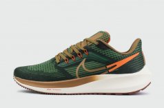 кроссовки Nike Air Zoom Pegasus 39 Green Brown