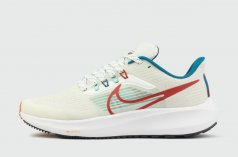 кроссовки Nike Air Zoom Pegasus 39 White Red Blue