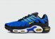 кроссовки Nike Air Max Plus TN Blue Yellow