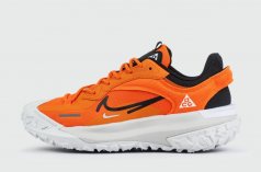 кроссовки Nike ACG Mountain Fly 2 Low Gtx Orange