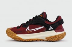 кроссовки Nike ACG Mountain Fly 2 Low Gtx Red