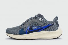 кроссовки Nike Air Zoom Pegasus 40 Grey 2 Sw. Blue