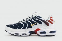 кроссовки Nike Air Max Plus Tn Blue Grey