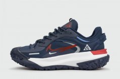 кроссовки Nike ACG Mountain Fly 2 Low Gtx Blue / White