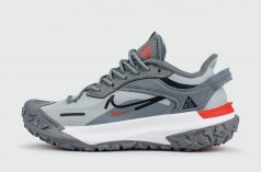 кроссовки Nike ACG Mountain Fly 2 Low Gtx Grey / White