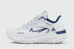 кроссовки Nike ACG Mountain Fly 2 Low Gtx White / Blue