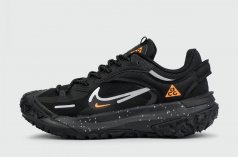 кроссовки Nike ACG Mountain Fly 2 Low Gtx Blue / Orange