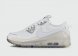 кроссовки Nike Air Max Terrascape 90 White Grey Txt