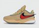 кроссовки Nike Lebron 20 Four Hoesemen