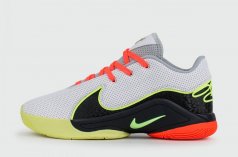 кроссовки Nike Lebron 22 Crown Jewel