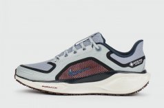 кроссовки Nike Pegasus 41 Gtx Grey Brown