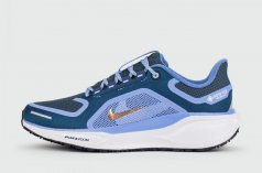 кроссовки Nike Pegasus 41 Gtx Cobalt
