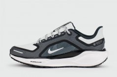 кроссовки Nike Pegasus 41 Gtx White Grey