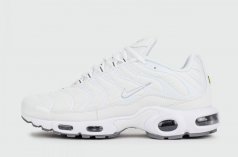 кроссовки Nike Air Max Plus Tn White