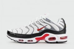кроссовки Nike Air Max Plus Tn White Grey new