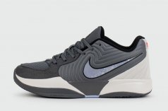 кроссовки Nike JA2 Grey