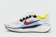 кроссовки Nike Pegasus 41 Psychic Blue