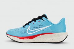 кроссовки Nike Quest 6 Blue