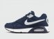 кроссовки Nike Air Max IVO Blue / White