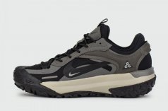 кроссовки Nike ACG Mountain Fly 2 Low Gtx Grey Thermo