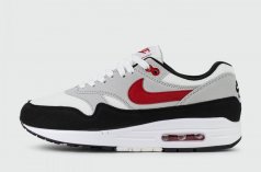 кроссовки Nike Max 1 Chill 2.0