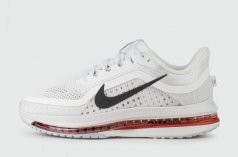 кроссовки Nike Pegasus Premium Sammit White Bright Crinson