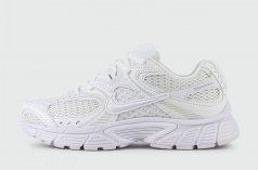 кроссовки Nike V2K Run Metallic Silver