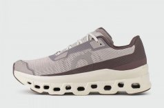 кроссовки On Cloudmonster Boid Fog Pearl Wmns